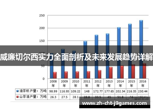 威廉切尔西实力全面剖析及未来发展趋势详解