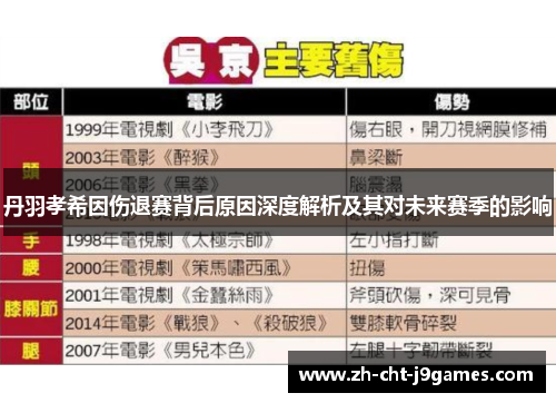 丹羽孝希因伤退赛背后原因深度解析及其对未来赛季的影响